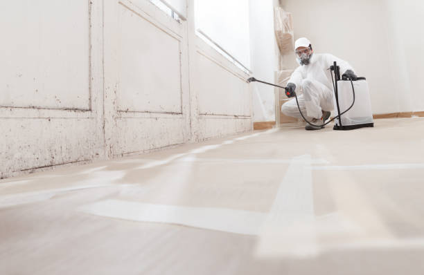 24/7 Emergency Mold Remediation experts in Laingsburg, MI